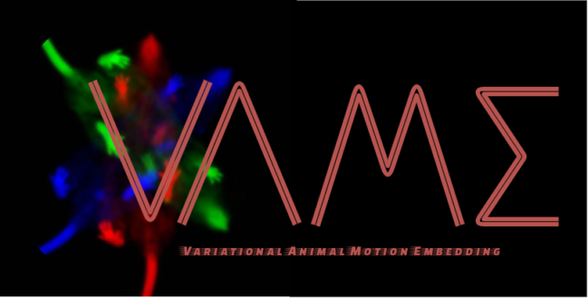 VAME